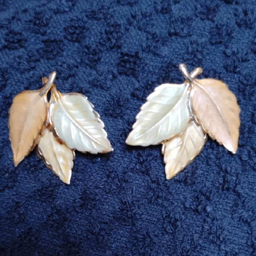 Elegant Leaf Design Earrings